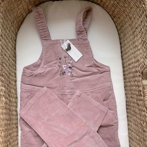 NWT Jamie Kay Juliet Onepiece in Garden Rose